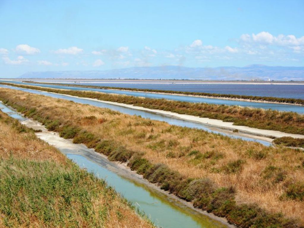 I tratturi tra le saline nell'agro di Trinitapoli - Ph. Credit: Vinoway.com
