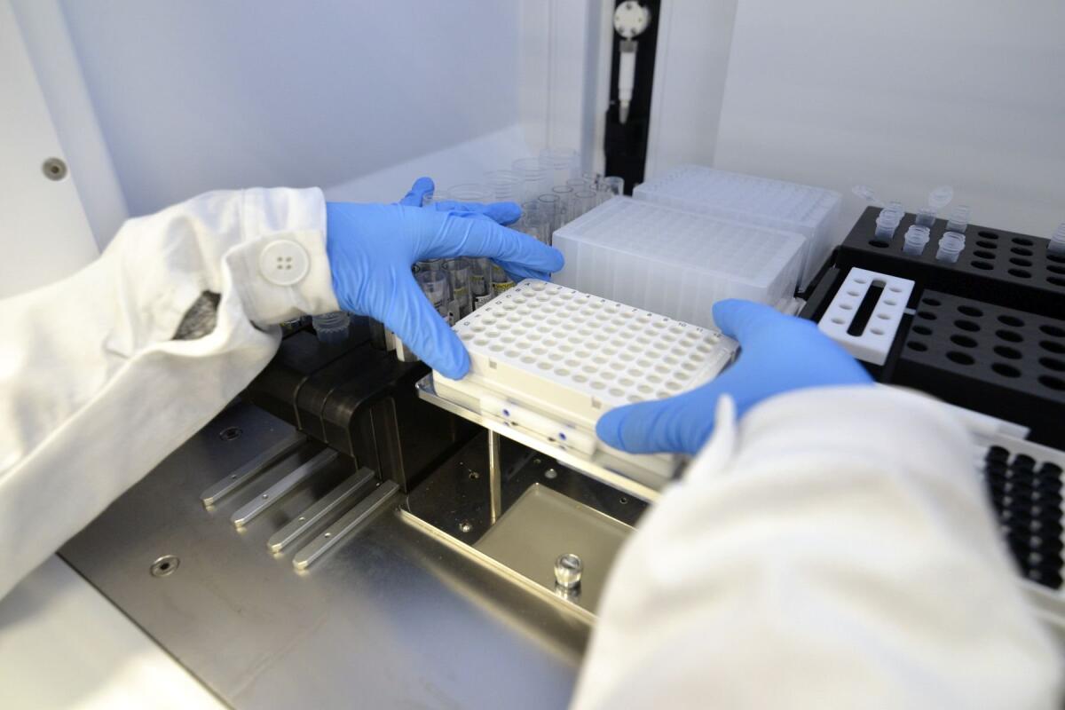 Coronavirus Puglia, su oltre 2mila tamponi 4 casi positivi: zero contagi e zero vittime nel Foggiano - 