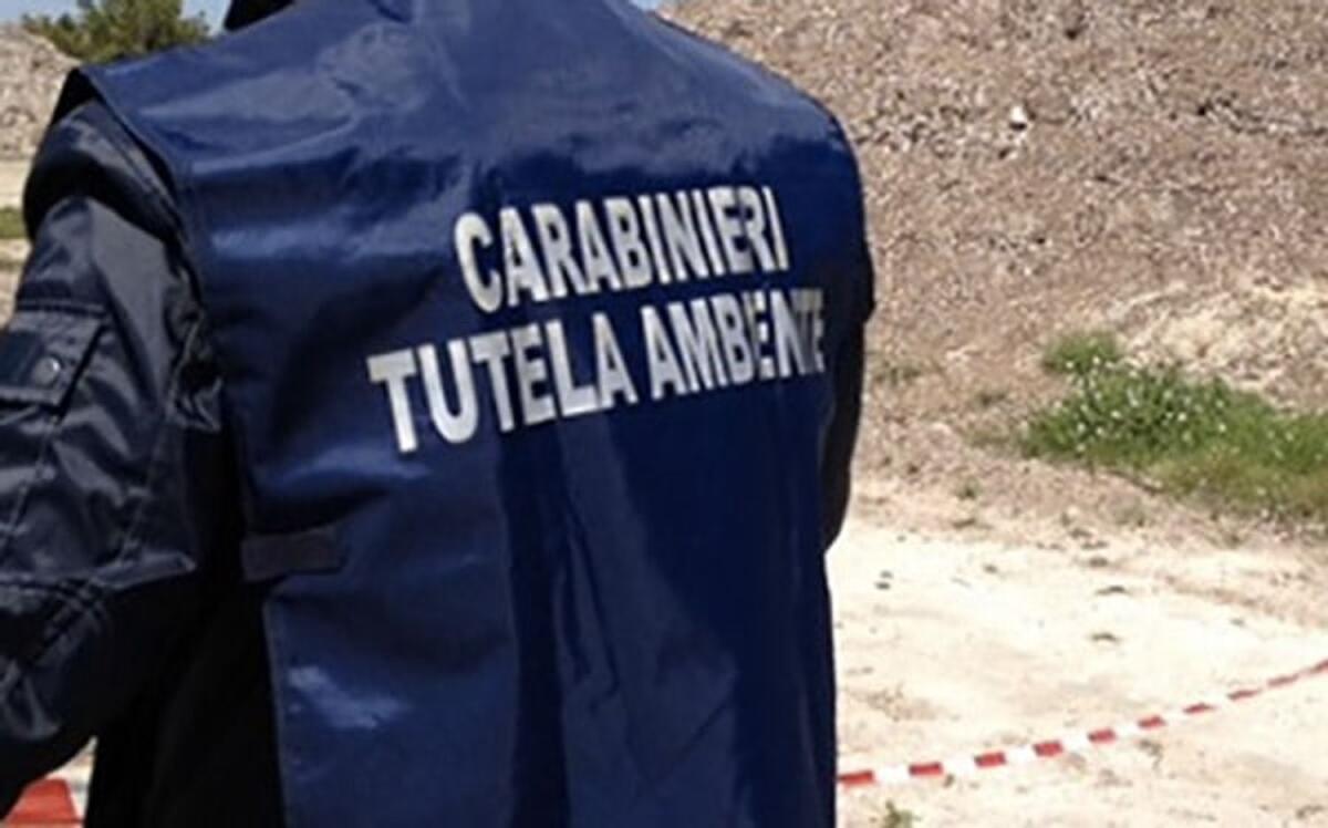 Inquinamento Canale Lagrimaro: 133 avvisi di garanzia. Lovecchio: 'Soddisfatto per l'azione del NOE' - 