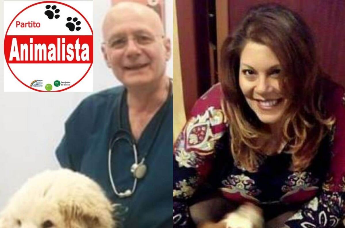 Anche a Foggia arriva il Partito Animalista: "Nessun animale sarà lasciato solo" - 