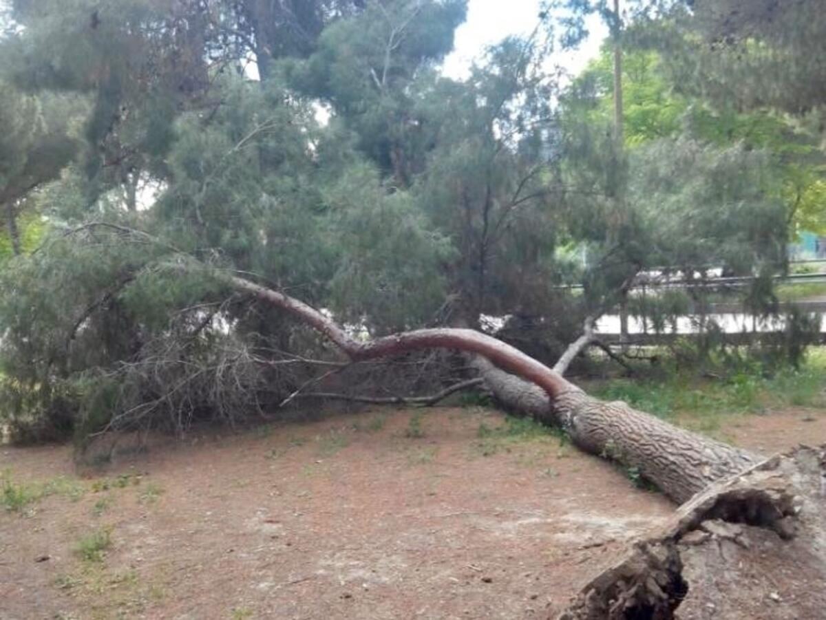 Allerta meteo a Foggia: Landella chiude parchi  giochi, villa comunale e  cimitero - 