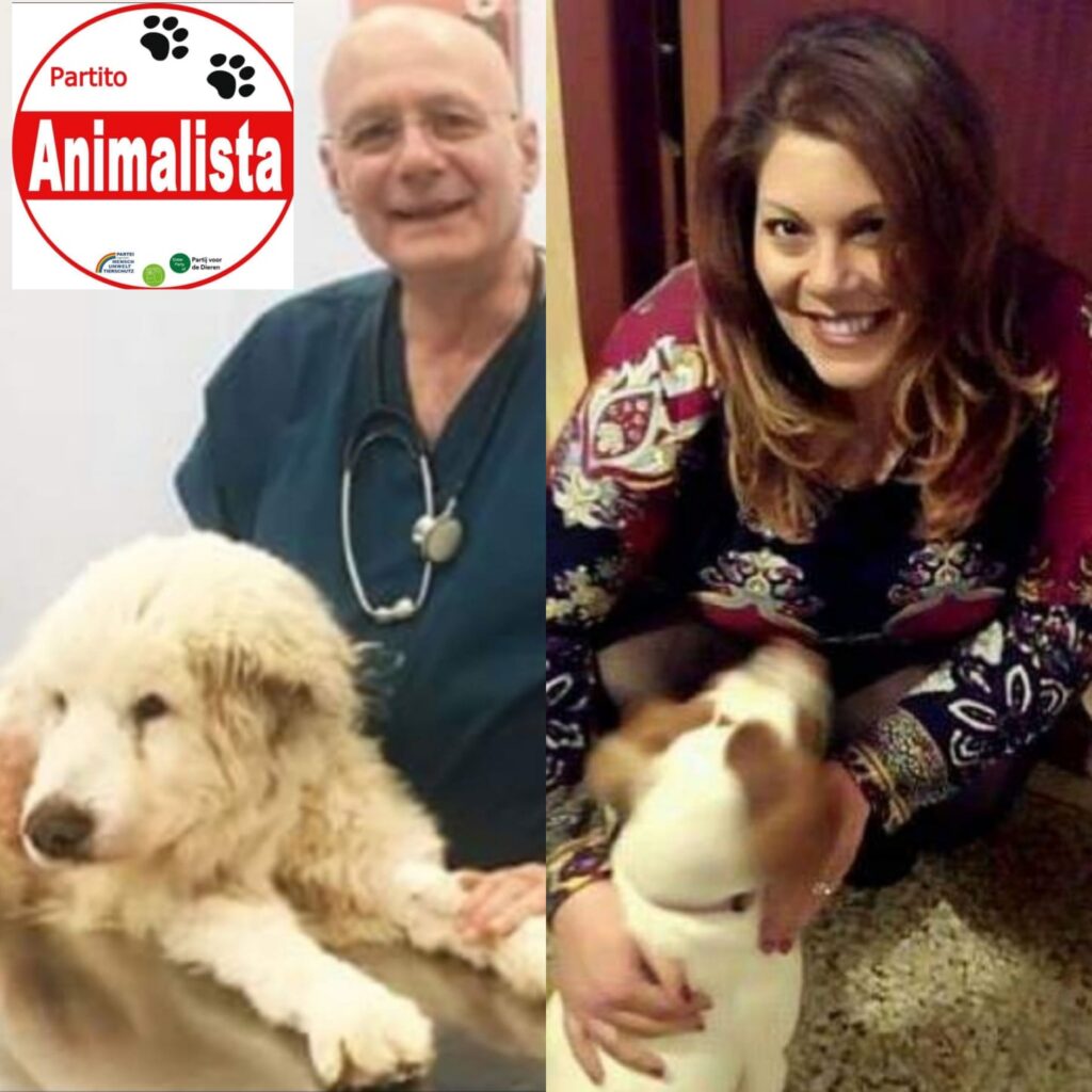 Anche a Foggia arriva il Partito Animalista: "Nessun animale sarà lasciato solo"