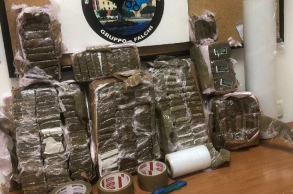 Foggiano incensurato beccato con 20kg di droga: arrestato - 