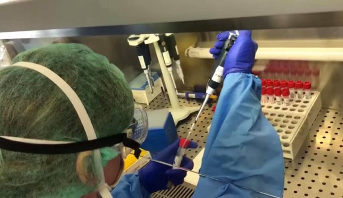 Puglia, registrati 84 nuovi casi positivi di Coronavirus - 