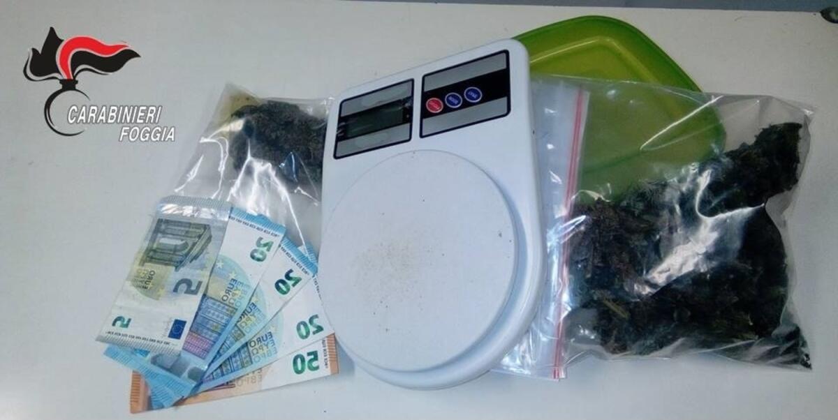 Droga negli slip e nel frigorifero: un arresto e due denunce - 