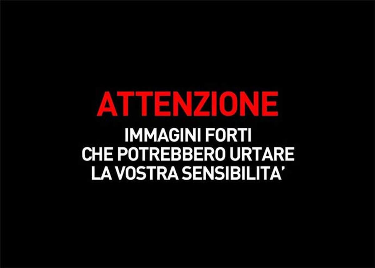Orrore a San Severo, cuccioli morti buttati in una busta - 