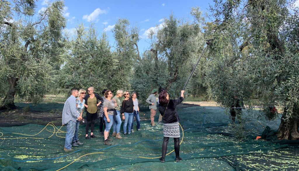 Innamorata del Gargano lascia tutto per mostrarlo ai turisti olandesi: l'avventura di Marilù