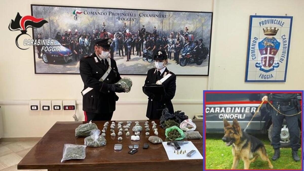 Blitz dei Carabinieri a Foggia, arrestati padre e figlio: nascondevano oltre 2.500 dosi di marijuana - 