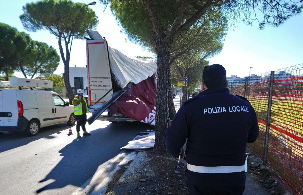 Incidente in viale Fortore a Foggia: camion urta contro il ramo di un albero, danneggiato vano rimorchio - 