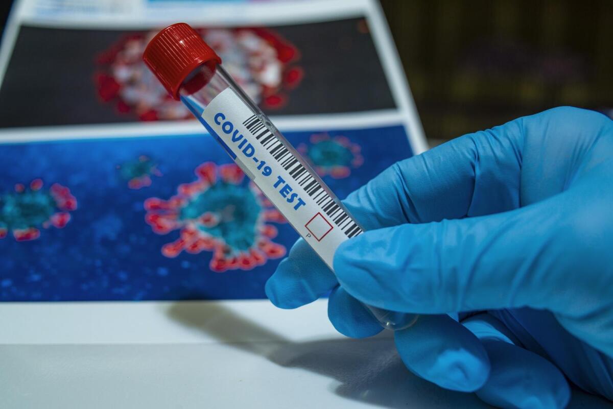 Coronavirus, 109 nuovi casi in provincia di Foggia - 