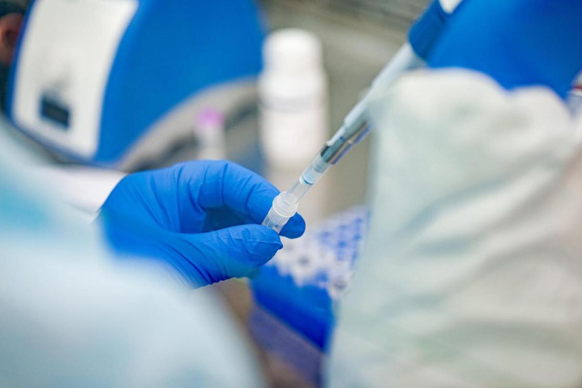 Coronavirus, casi in aumento a Manfredonia: 31 persone positive - 