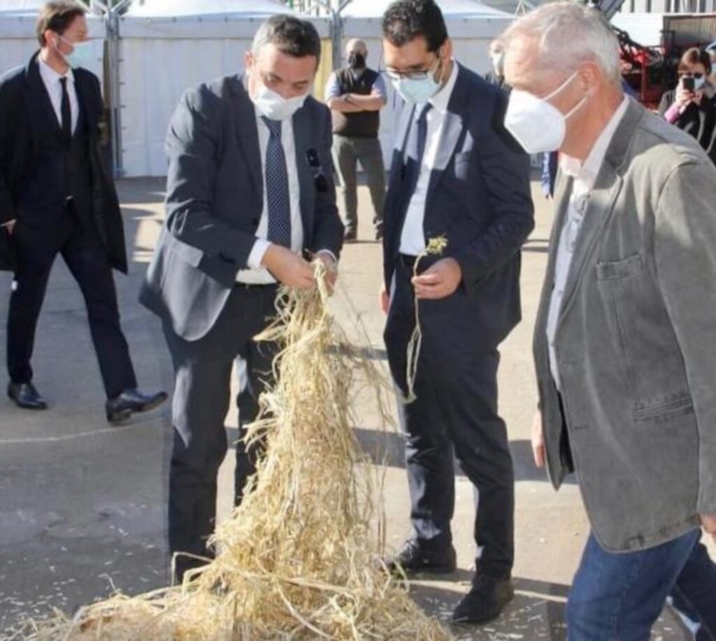 Crediti foto: Bio Hemp Trade