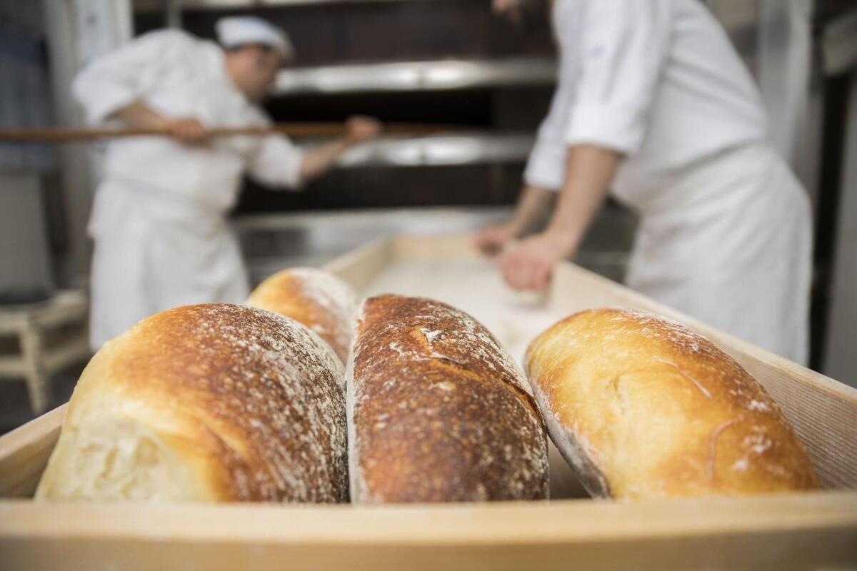 "Il nostro pane va a ruba", furto nella notte al Forno Sammarco - 