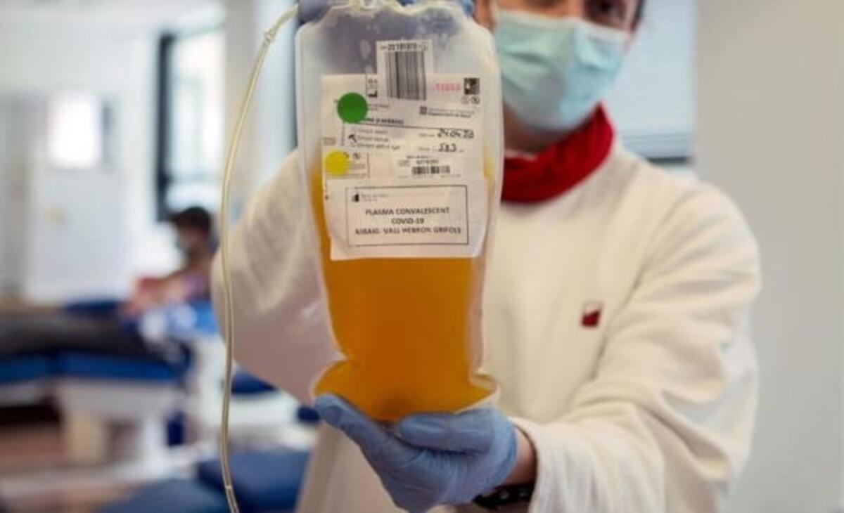 Puglia, donazione plasma iperimmune per curare i malati di Covid: ecco i requisiti e dove donarlo - 