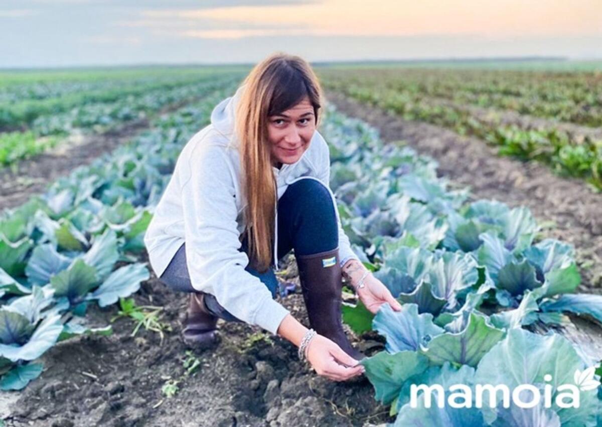 Nasce Mamoia: tutto il buono della Puglia in una box - 