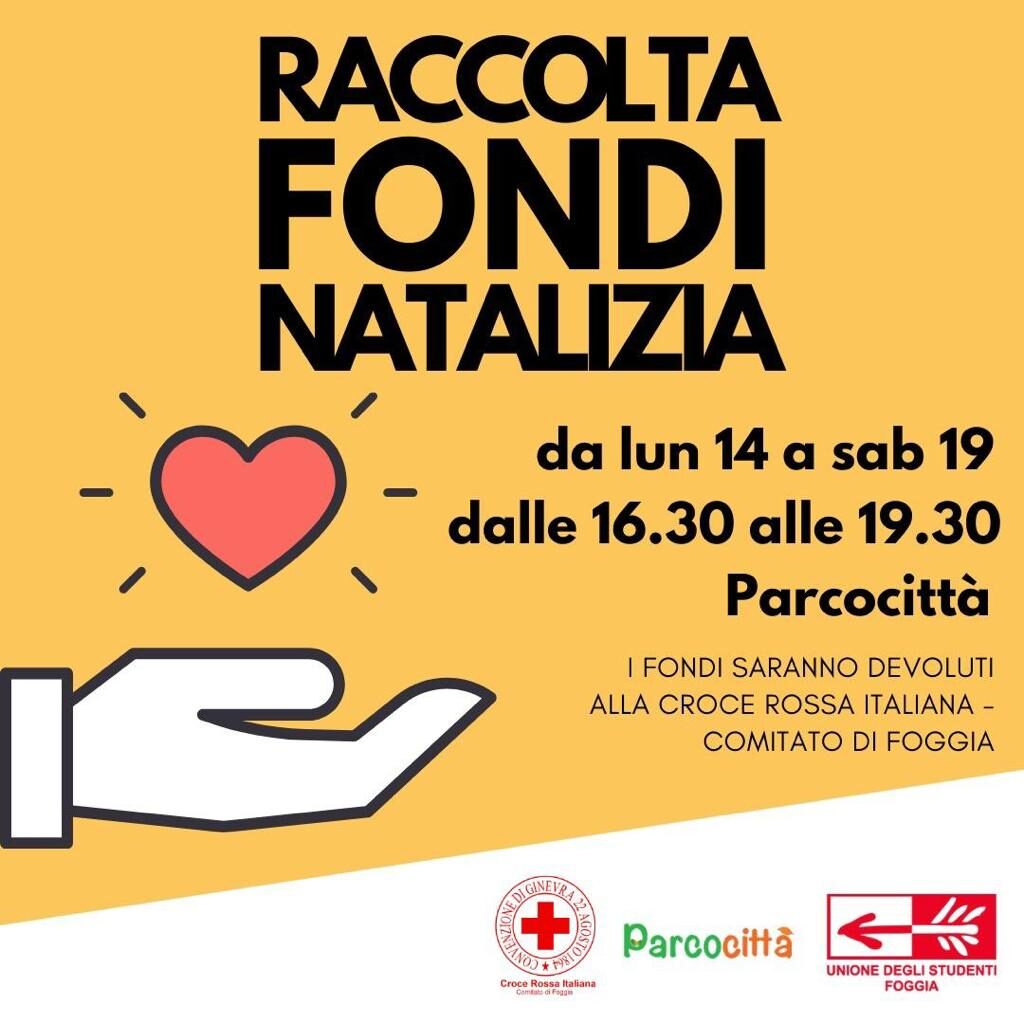 Raccolta fondi natalizia, una piantina per sostenere l'operato dei volontari foggiani della Croce Rossa