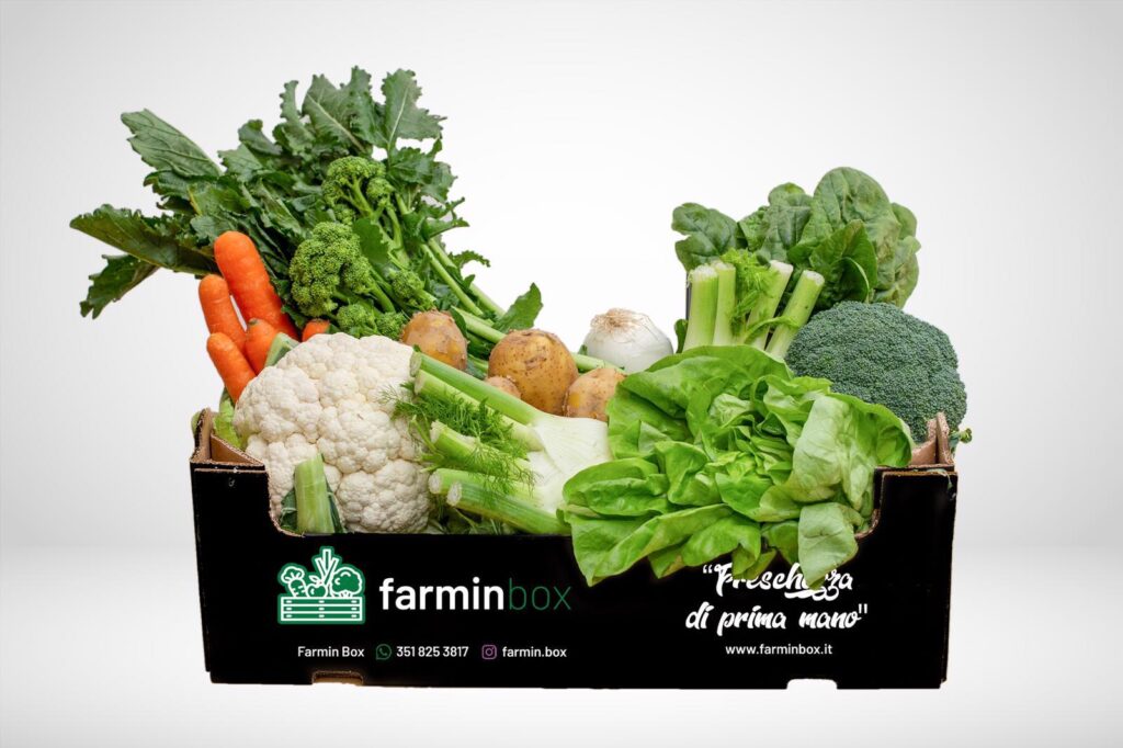 FarminBox, l'idea di due cugini foggiani per portare nelle case la tradizione del Tavoliere