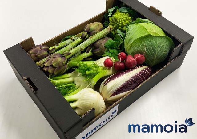 Una box di Mamoia