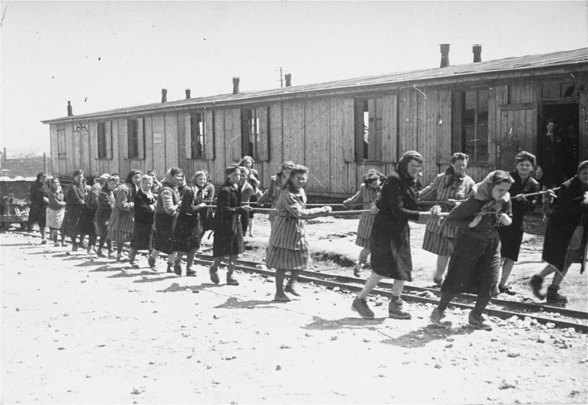 Giornata della Memoria, ricordare l'Olocausto affinchè non si ripeta mai più - 