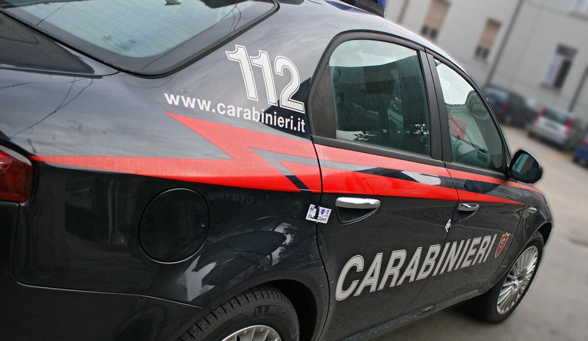 Operazione "Gatto Rosso", smantellata rete di spacciatori sul Gargano - 