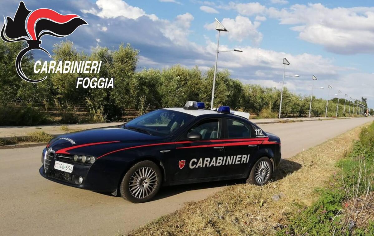 Non si fermano all'Alt e si danno alla fuga nelle campagne del Foggiano su un furgone: fermati due senegalesi - 