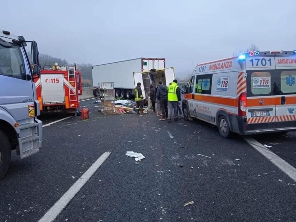 Morte volontari, nella notte avevano prelevato a San Severo cani e gatti adottati - Crediti foto: Facebook Enpa