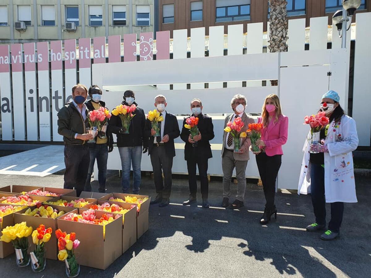 Foggia, tulipani donati stamattina ai reparti Covid del Policlinico Riuniti dal contadino Giuseppe Savino (Foto) - 