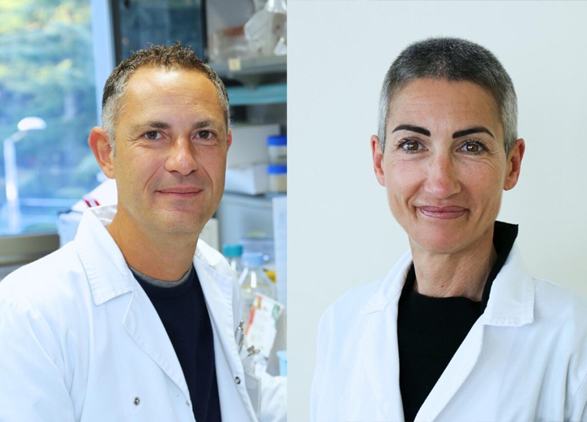 Un'importante scoperta a Casa Sollievo: una firma batterica predice la mutazione BRAF nel tumore del colon retto - 