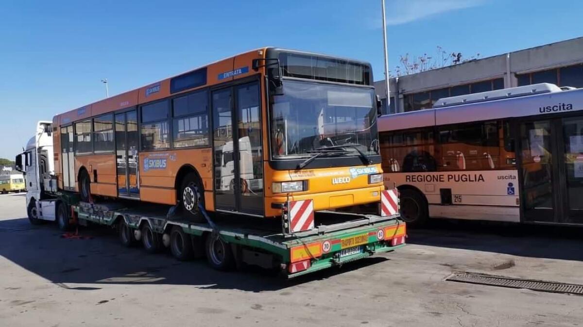 29 bus dal Trentino a Foggia, finora in città ne sono arrivati 15: "Nuovi e in ottimo stato" - 