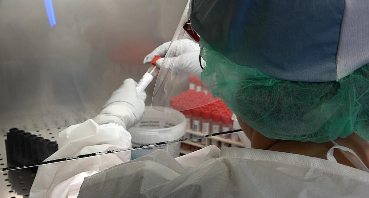 Covid, in Puglia 631 casi positivi e 29 decessi - 
