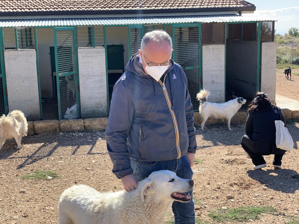 San Giovanni Rotondo, cala il numero di cani nel canile comunale: "Dal 2019 ad oggi adottati 170 cani" - 