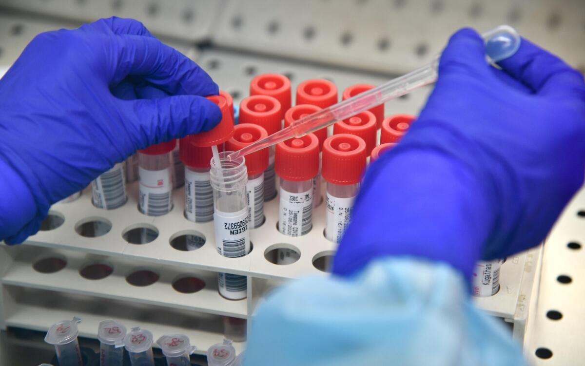 Coronavirus, in Puglia registrati 475 nuovi casi positivi: ecco i dati per ogni provincia - 