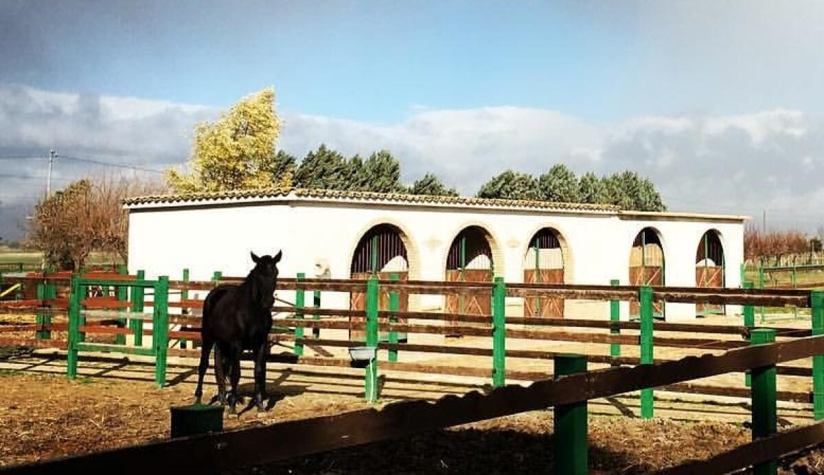 Rubato trattore alla fattoria didattica Emmaus: "Abbiamo bisogno del vostro aiuto per acquistarne uno nuovo" - 