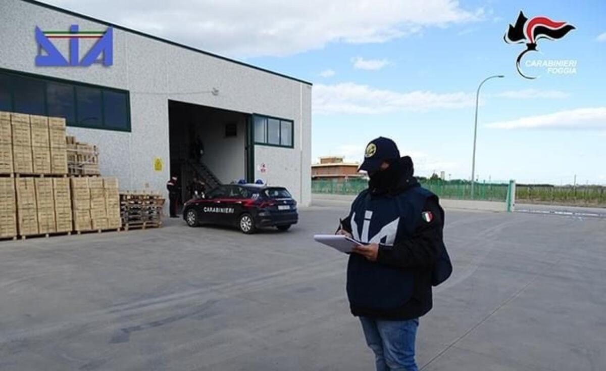 Criminalità foggiana, sequestrati oltre 2,5 milioni di beni a pluripregiudicato - 