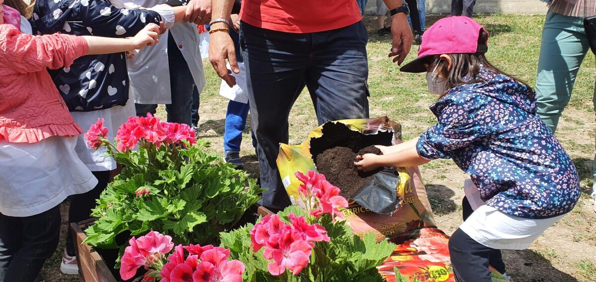Manfredonia, pazienti psichiatrici e piccoli studenti trasformano un giardino abbandonato in orto didattico - 