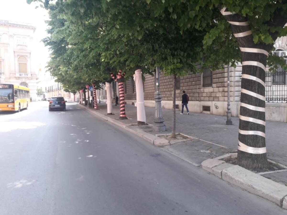 Foggia si prepara al Giro d'Italia, su Corso Garibaldi spunta iClaque: ecco l'installazione artistica e sociale - 