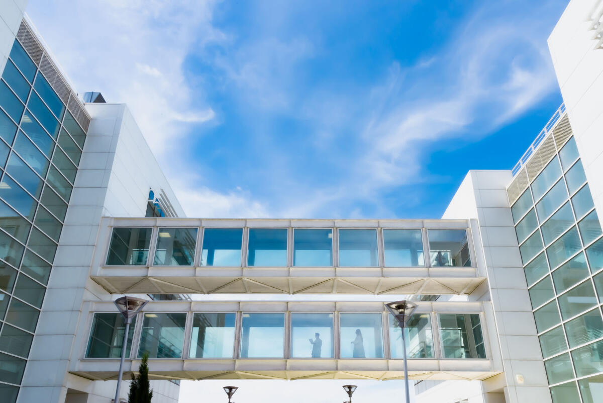 Unifg si aggiudica il finanziamento del MIUR: nuove aule e servizi per il Polo Biomedico di via Napoli - 