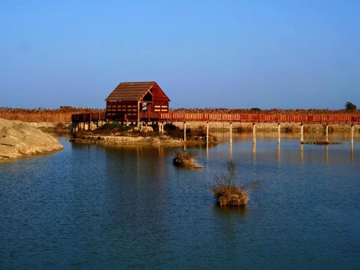 "I tesori nascosti di Puglia", alla scoperta dell'incantevole oasi della Laguna del Re di Manfredonia - Credits: Facebook Oasi Laguna del Re