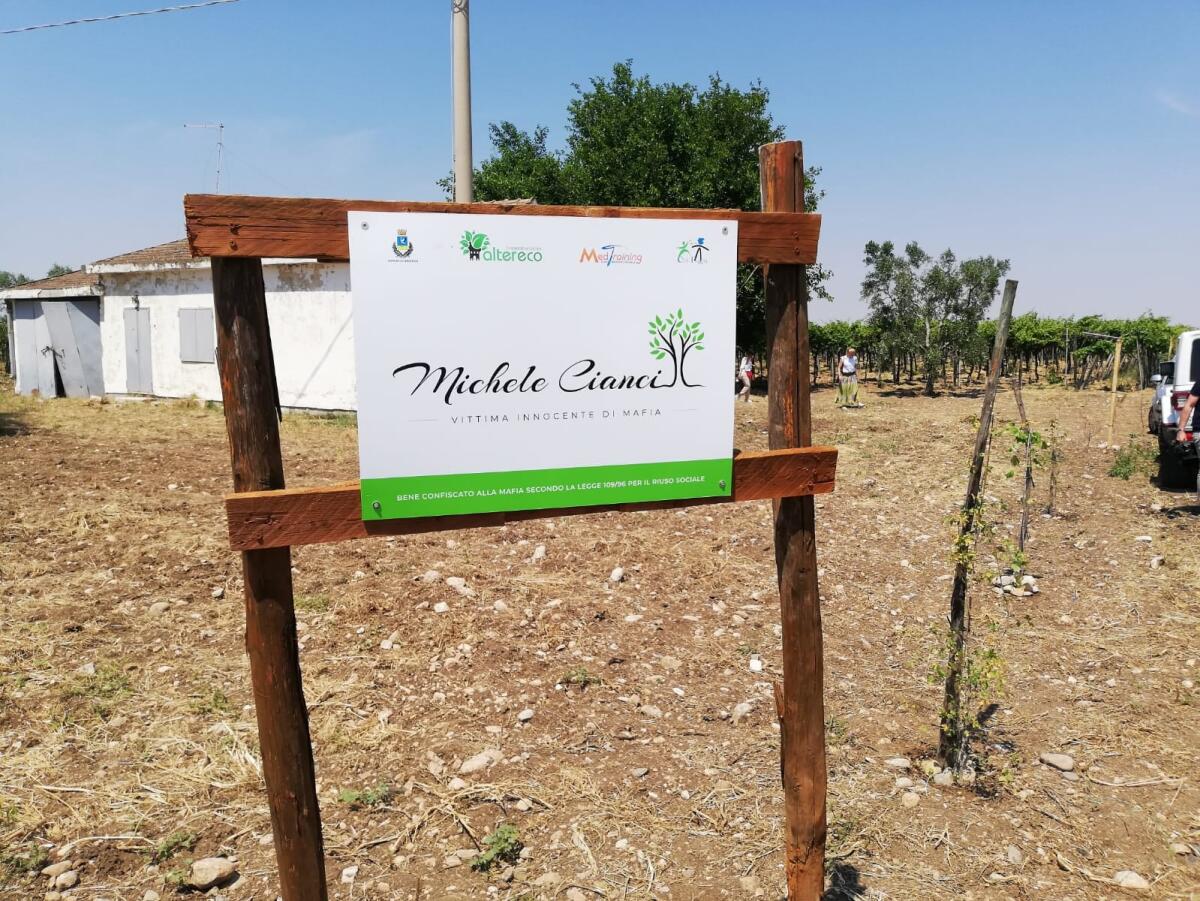 "Lo Stato ha vinto e oggi cammina sul bene confiscato alla mafia", a Cerignola inaugurato il terreno "Michele Cianci" - 