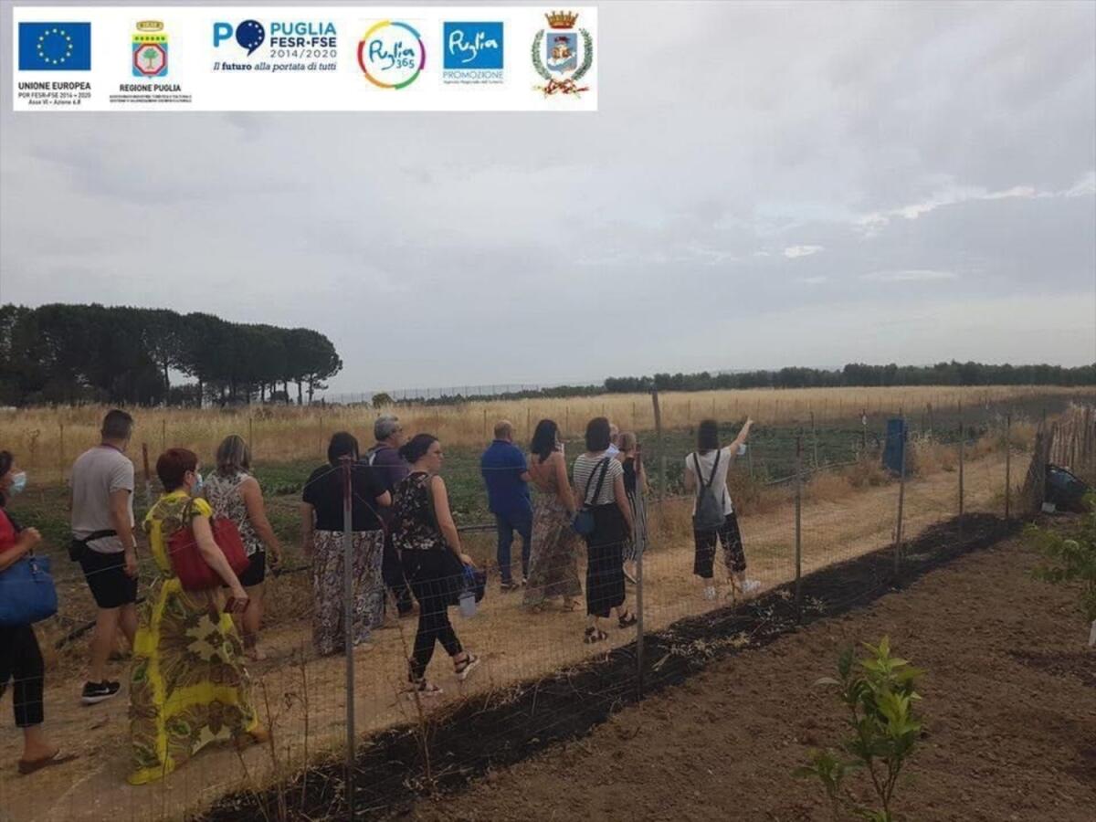 Un successo il press tour promosso dal Comune di San Severo, blogger e giornalisti: "La vostra è una terra meravigliosa" - 