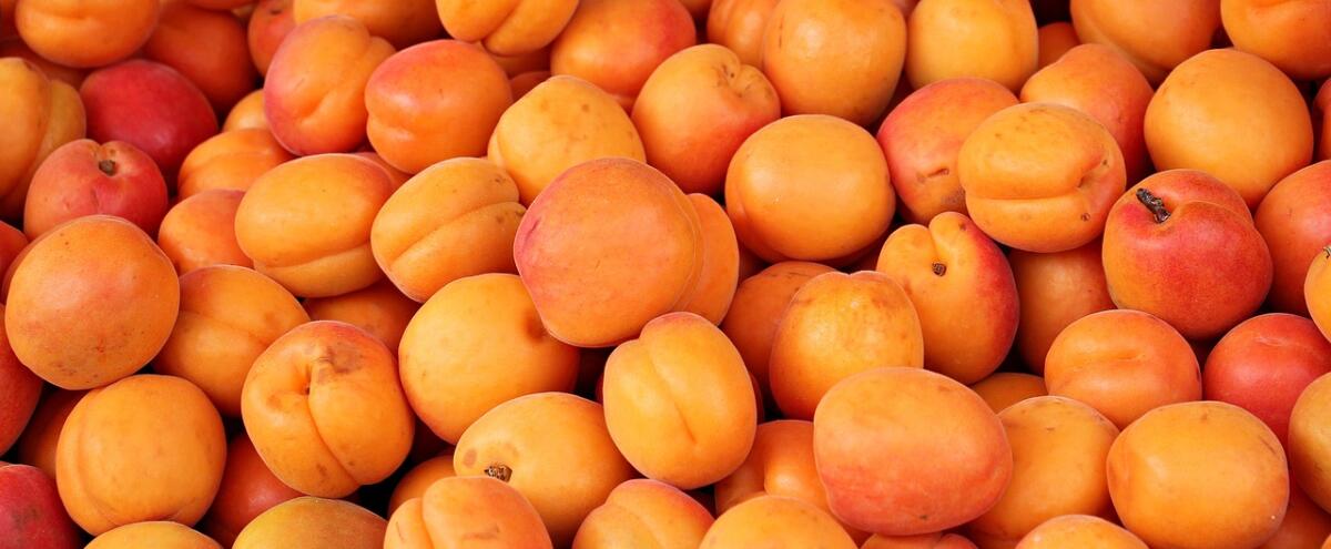 Albicocche, ciliegie e fioroni: la frutta pugliese dell'estate per mangiare locale con gusto - 