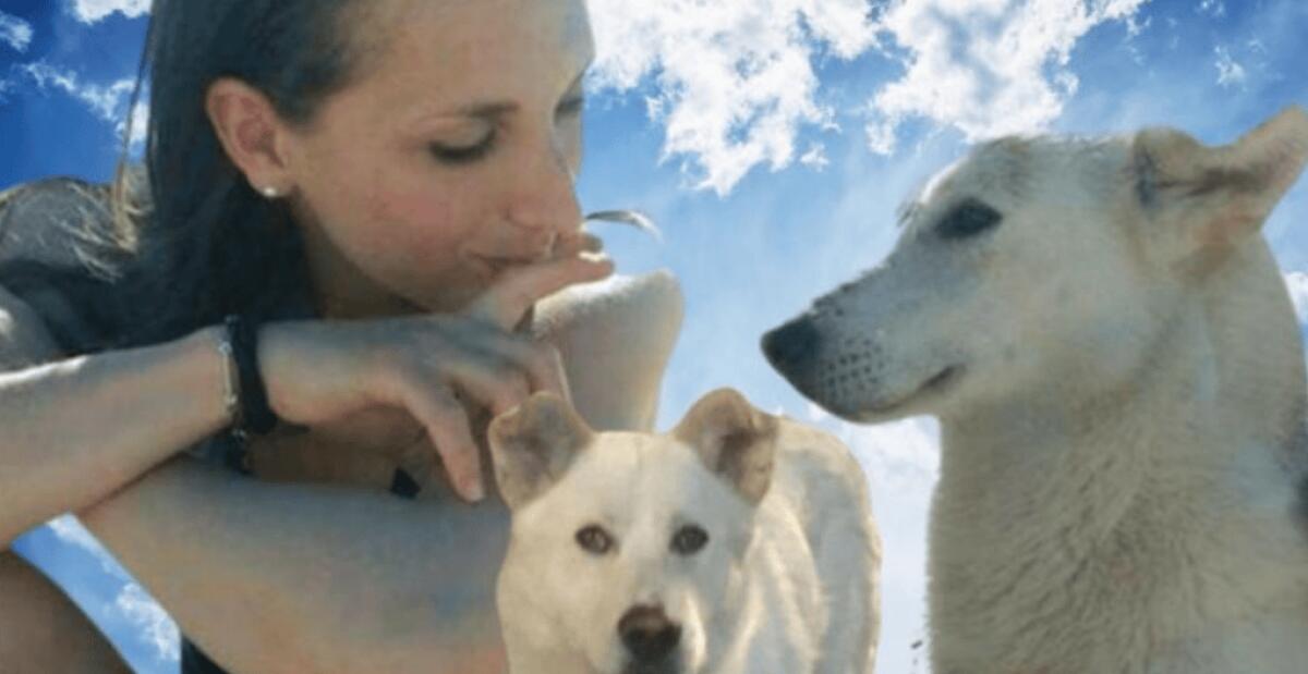 Un'oasi per animali invalidi, Guerrieri con la Coda: "Aiutateci a realizzare l'ultimo sogno di Dalila" - 