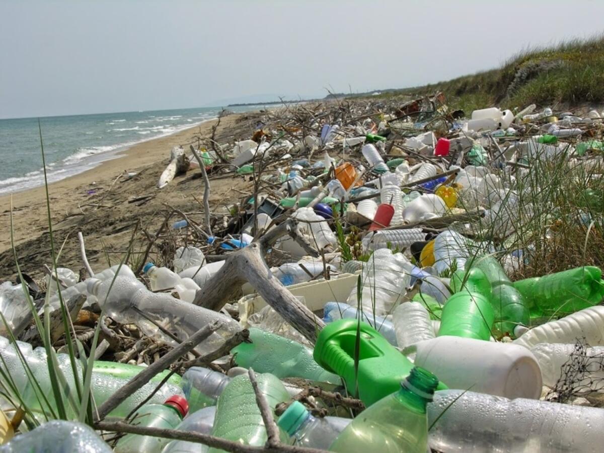 Manfredonia, WWF Tour Plastic Free "Missione Spiagge Pulite 2021": una giornata di pulizia per la salute del mare - 