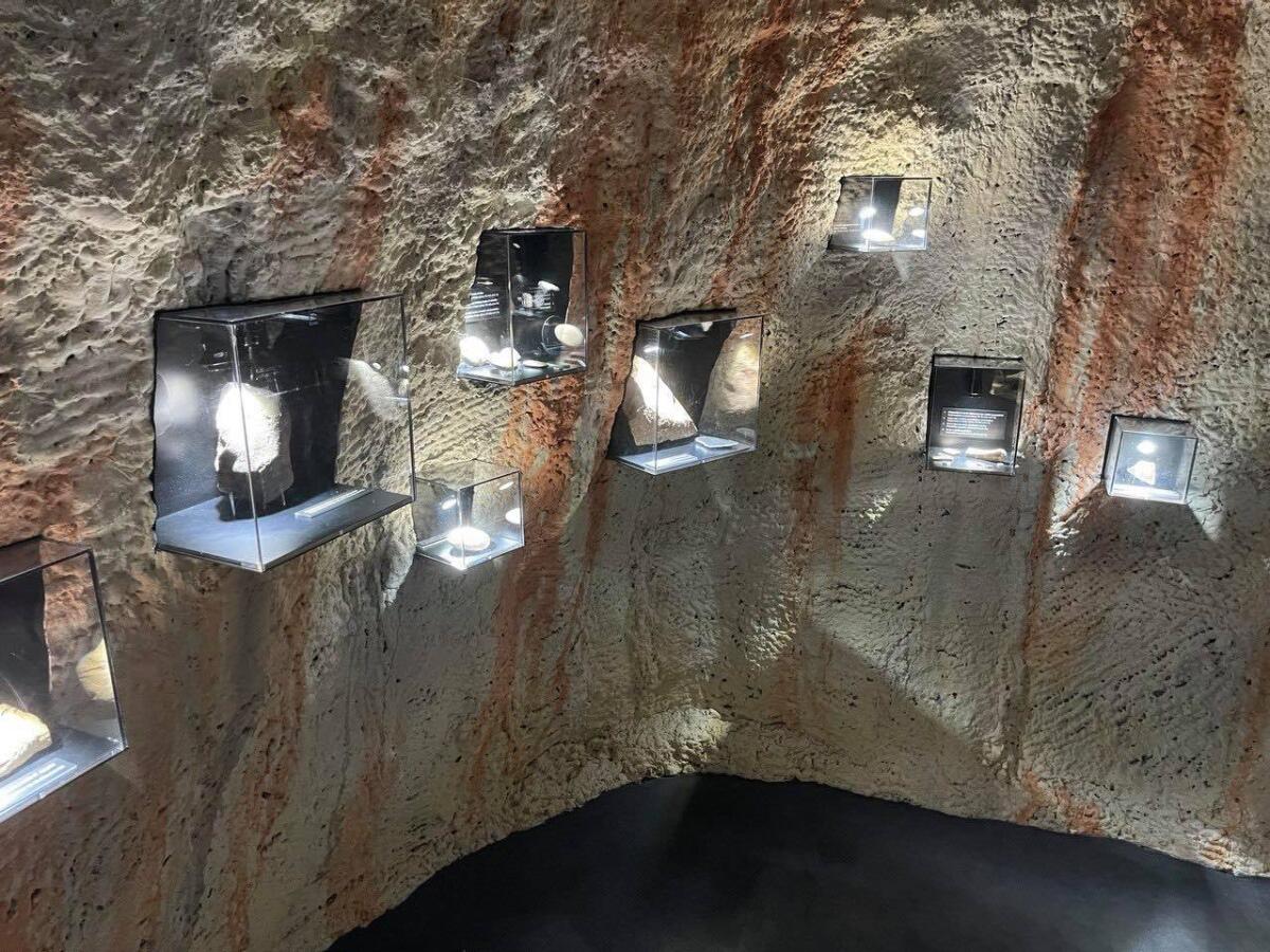Museo di Grotta Paglicci, sul Gargano si torna indietro nel tempo con un tesoro di antichi reperti - 