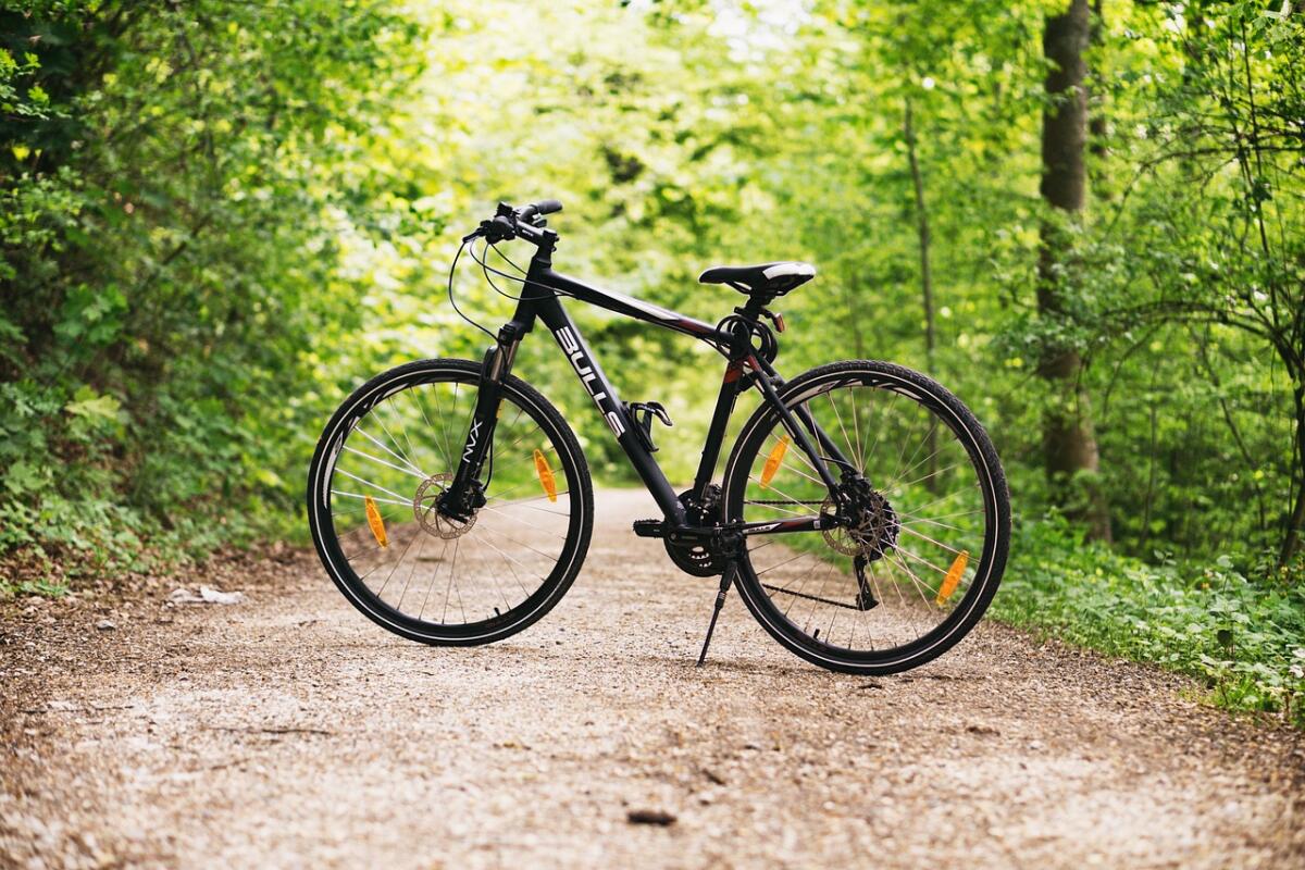 Gargano da scoprire in bicicletta: un percorso tra mare e foresta per gli amanti del cicloturismo - 