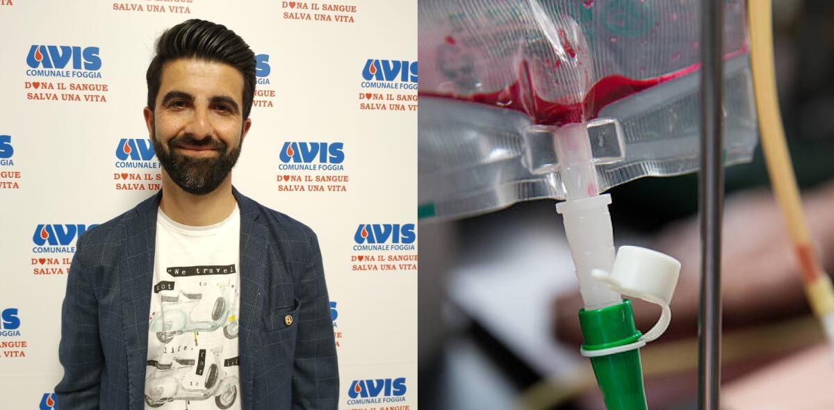 Appello Avis Foggia alla donazione: "C'è necessità, si può donare anche a 48 ore dal vaccino" - 