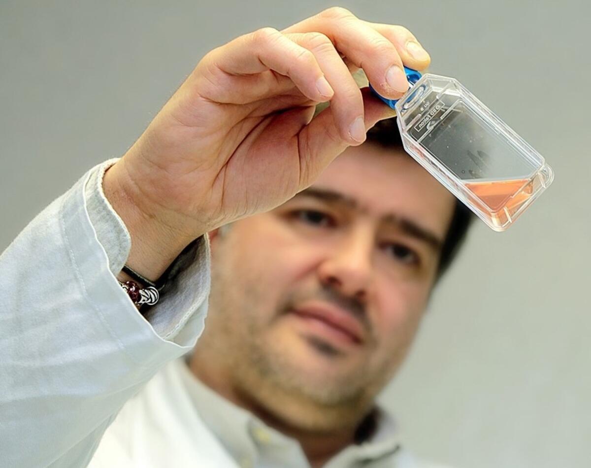 Casa Sollievo, sindrome Kabuki: ricevuta importante donazione per la ricerca - Il biologo genetista Giuseppe Merla