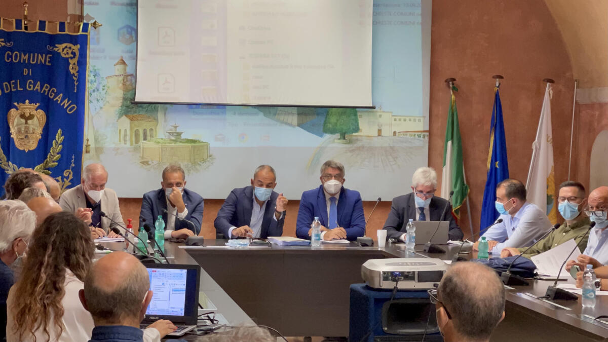 Dissesto idrogeologico Gargano e sicurezza del territorio, Piemontese: "Non possiamo più permetterci di avere tempi biblici" - 