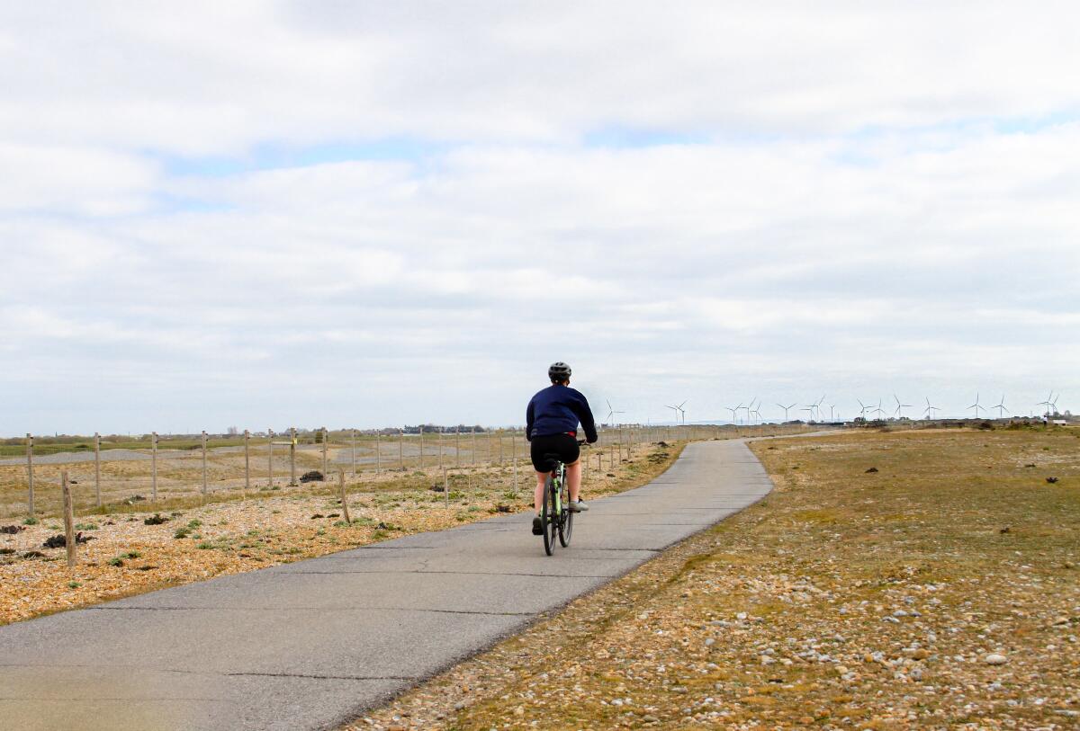 Nuovi progetti urbani in Puglia, 21 approvati: si punta alla rivoluzione green - 
