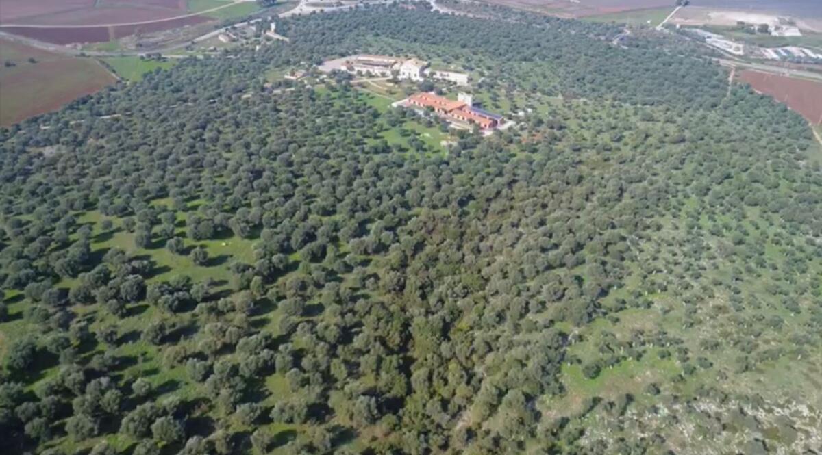 Paesaggi storici rurali: tra i 27 siti iscritti nel registro anche il Parco Nazionale del Gargano e l'ASP Zaccagnino - 
